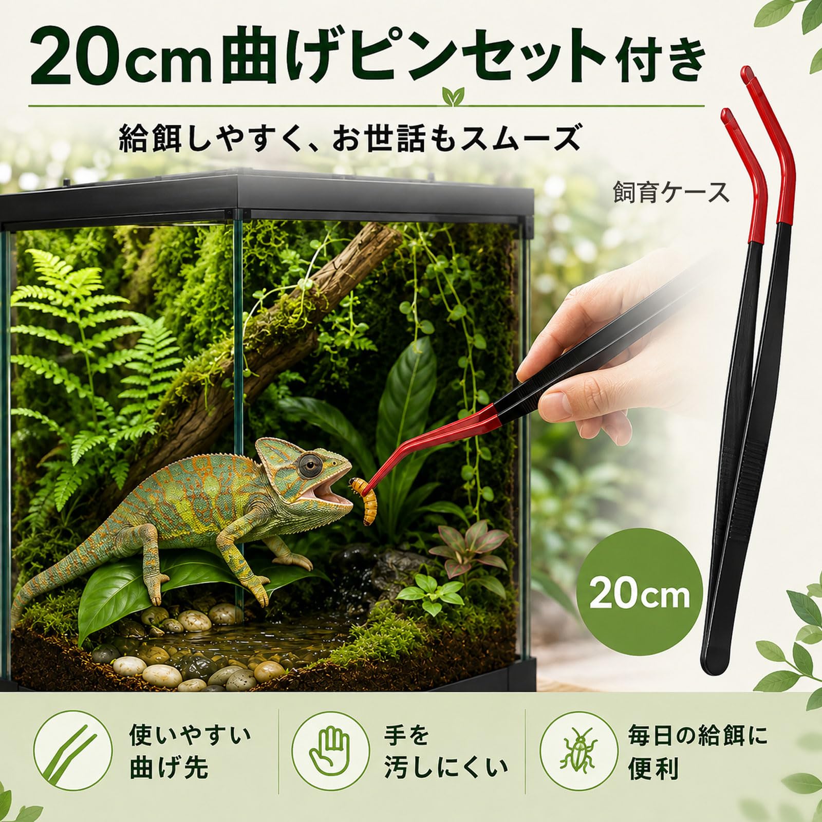 Amazon | Ahgwiu 爬虫類 ケージ ピンセット 温度湿度計 ヒーター